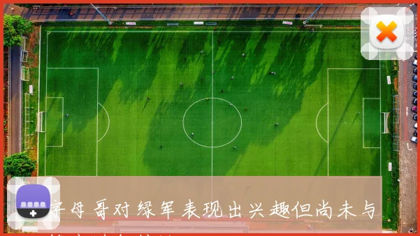 字母哥对绿军表现出兴趣但尚未与雄鹿进行接洽