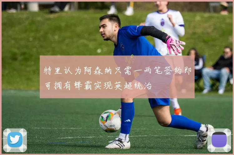 特里认为阿森纳只需一两笔签约即可拥有锋霸实现英超统治