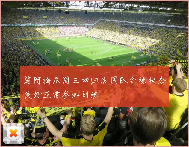 楚阿梅尼周三回归法国队合练状态良好正常参加训练